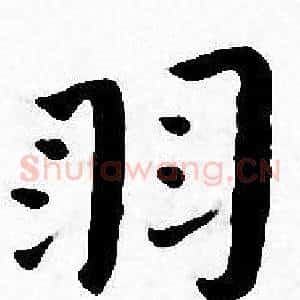 羽