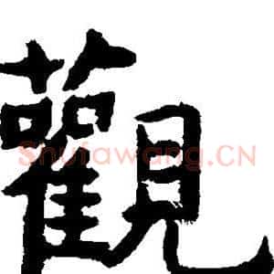 观