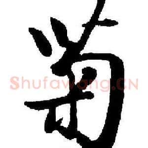 菊