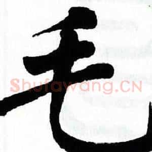 毛