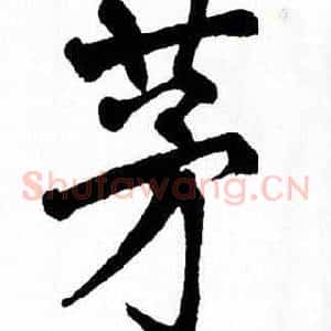 茅