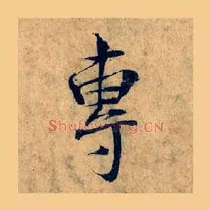 專