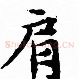 肩