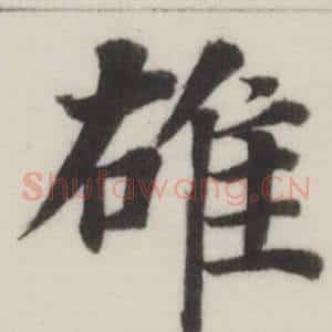 雄