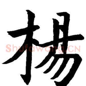 杨