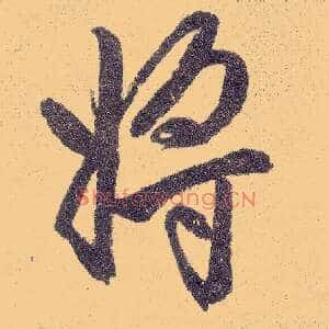 将
