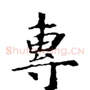 专