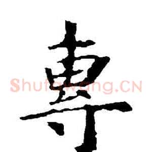 專