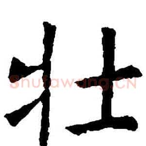 壯