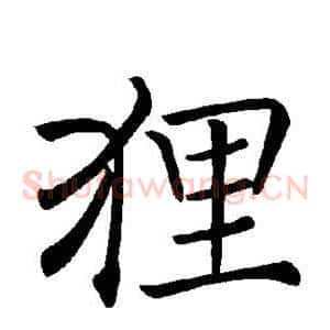 狸