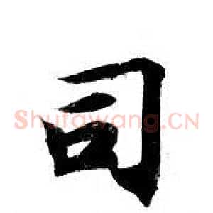 司