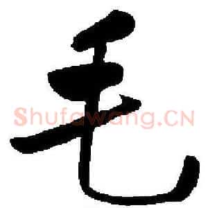 毛