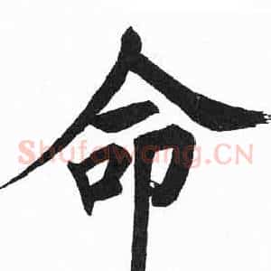 命