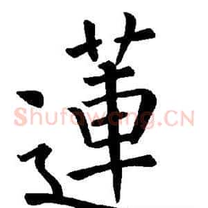莲