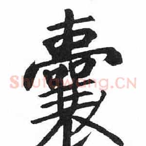 囊