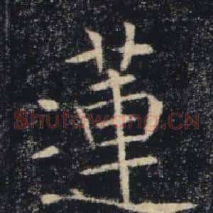 蓮