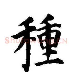 種