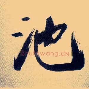 池