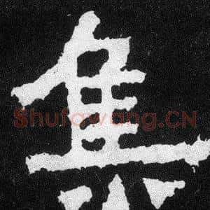 集