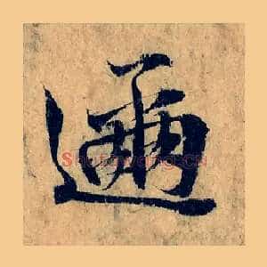 趂