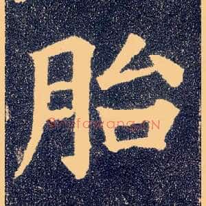 胎