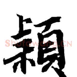 颖