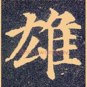 雄