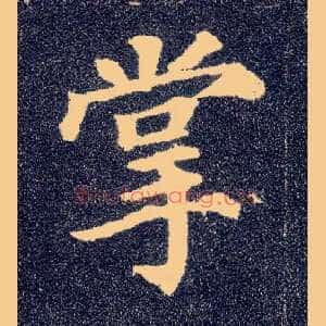 掌