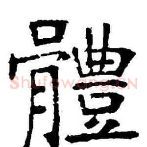 體