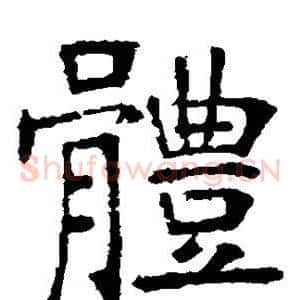 体