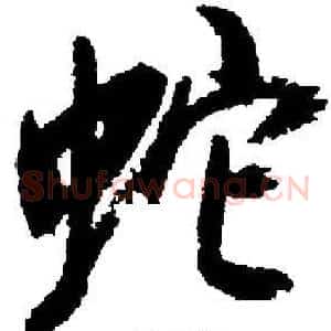 蛇