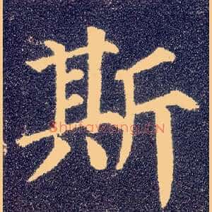 斯