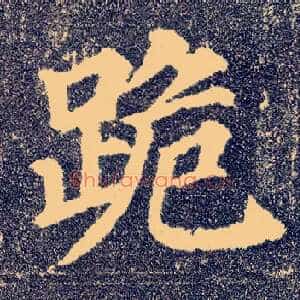 跪