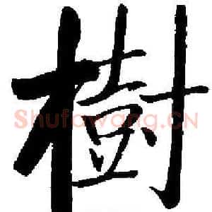 樹