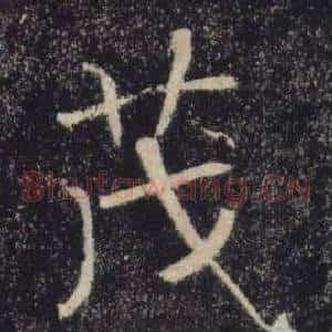 茂