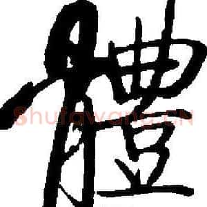 體