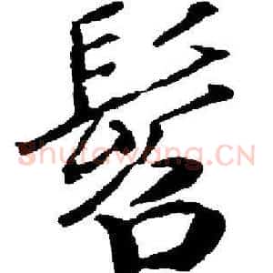 髫