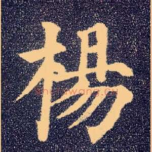 杨