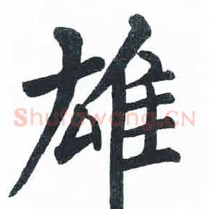 雄