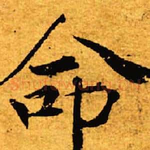 命