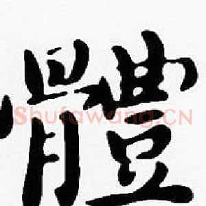 體