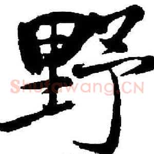 野