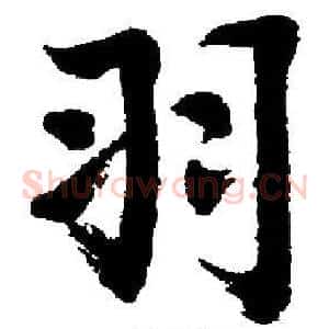 羽