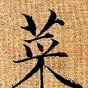 菜