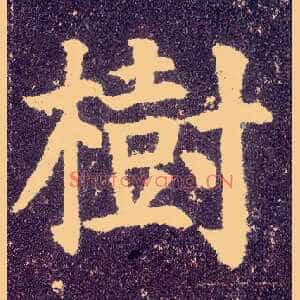 树
