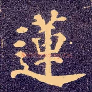 莲