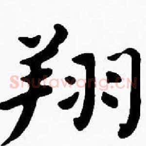 翔
