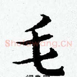 毛