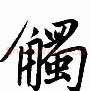 觸