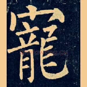 宠